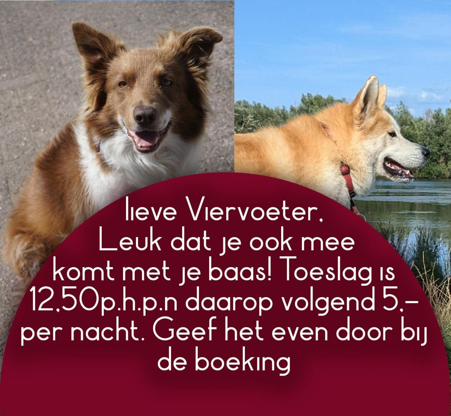 B&B Het Gelders Buitenleven Overasselt Eksteriør bilde